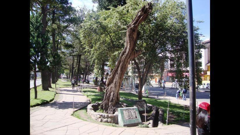 Brizio Guest House Cusco Ngoại thất bức ảnh